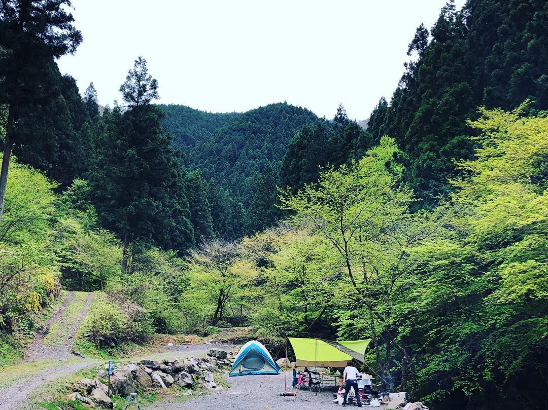 Excamp 写真で探すキャンプ場検索サイト