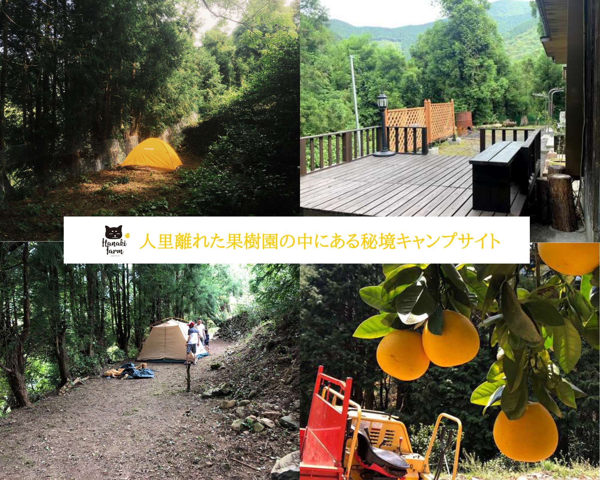 Excamp 写真で探すキャンプ場検索 予約サイト